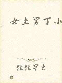 女上男下小说