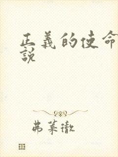 正义的使命 小说