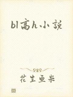 bl高h小说
