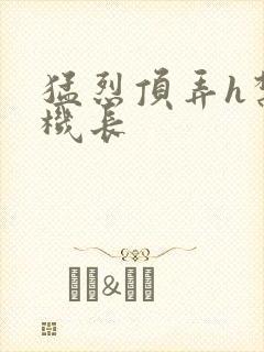 猛烈顶弄h禁欲机长