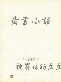 黄书小说
