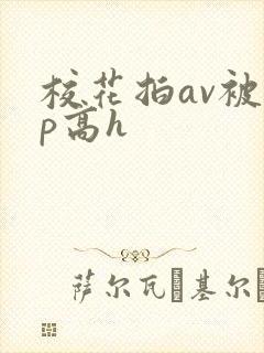 校花拍av被np高h