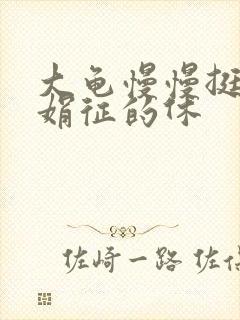 大龟慢慢挺进张娟征的休