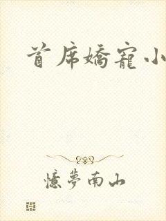 首席娇宠小情人