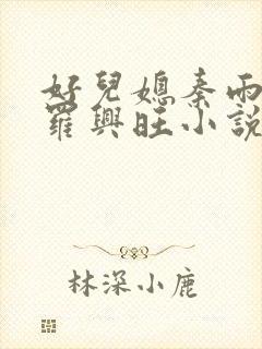 好儿媳秦雨罗明罗兴旺小说