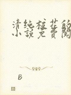 清纯校花的秘密小说免费阅读