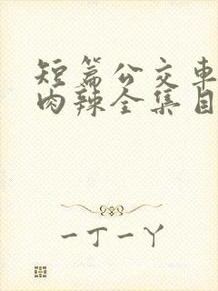 短篇公交车高h肉辣全集目录