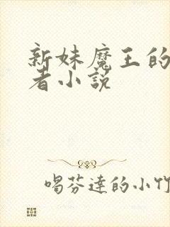 新妹魔王的契约者小说