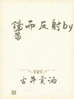 镜面反射by九葛