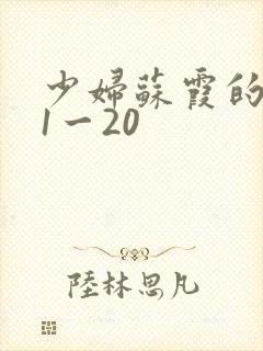 少妇苏霞的沉沦1一20