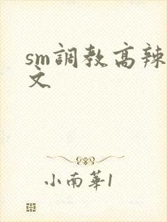sm调教高辣h文