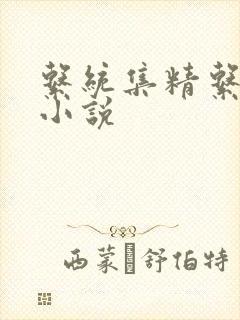 系统集精系统 小说