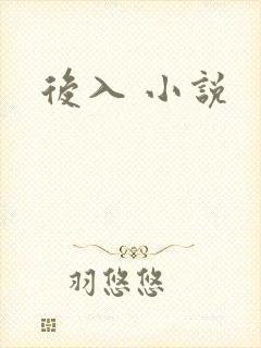 后入 小说