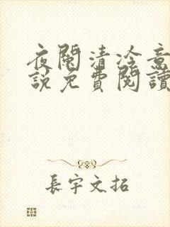 夜阑清冷意欢小说免费阅读