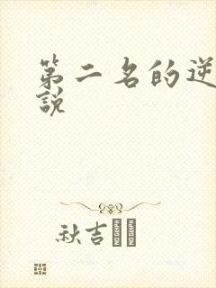 第二名的逆袭小说