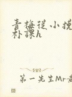 青梅从小摸到大补课h