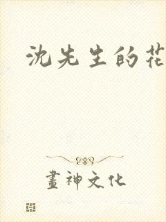 沈先生的花式调