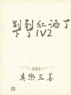 别到红酒了装不下了1V2