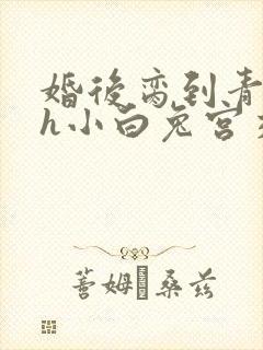 婚后脔到青梅哭h小白兔宫交h