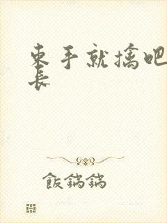 束手就擒吧韩队长