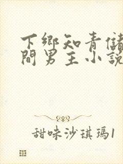 下乡知青储物空间男主小说