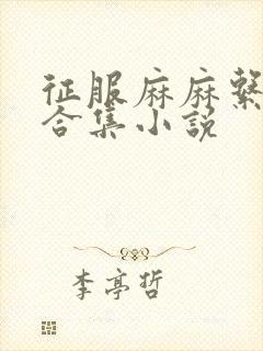 征服麻麻系列大合集小说