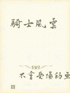 骑士风云