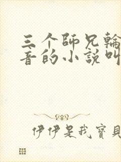 三个师兄轮流上音的小说叫什么