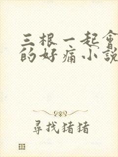 三根一起会坏掉的好痛小说