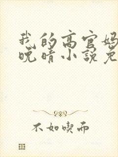 我的高官妈妈苏晚晴小说免费阅读