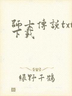 师士传说txt下载