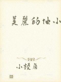 美丽的他小说