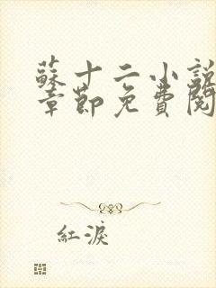 苏十二小说最新章节免费阅读