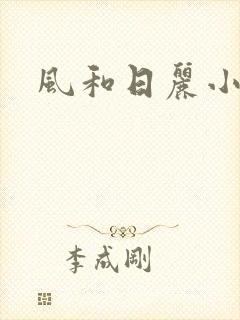 风和日丽小说