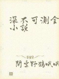 深不可测金银花小说