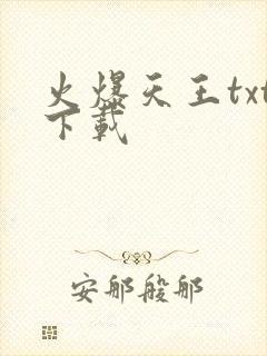 火爆天王txt下载