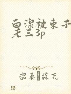 白洁被东子老二老三3p