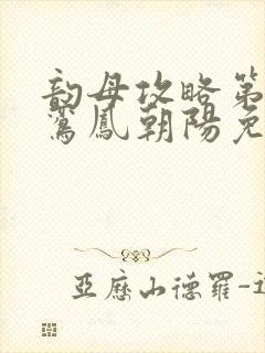 韵母攻略第二部鸾凤朝阳免费阅读