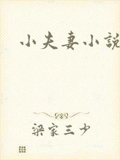 小夫妻小说