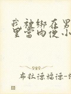 我被绑在男公厕里当肉便小说