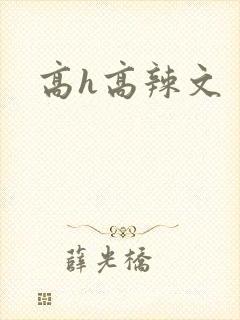 高h高辣文