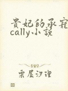 贵妃的承宠日常cally小说