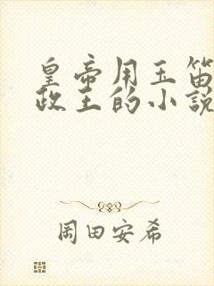 皇帝用玉笛整摄政王的小说