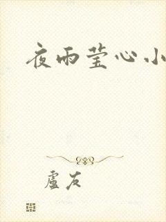 夜雨莹心小说