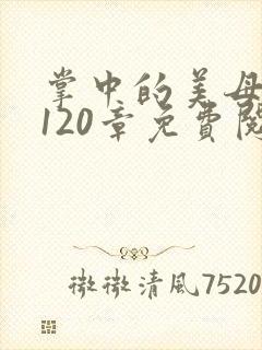 掌中的美母版主120章免费阅读