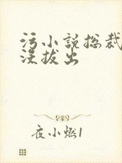 污小说总裁整夜没拔出