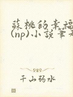 苏桃的幸福生活(np)小说笔趣阁沐沐