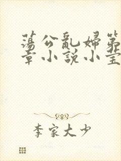 荡公乱妇第51章小说小莹