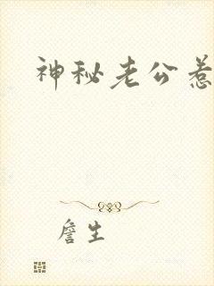 神秘老公惹不起