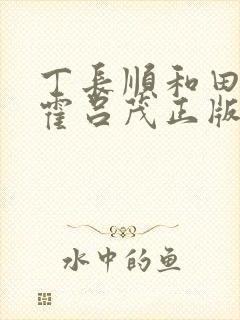 丁长顺和田晓兰霍吕茂正版